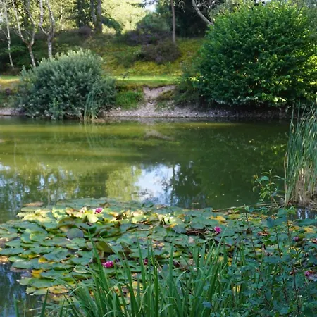 Holiday home La Maison Et L'etang - Grand Terrain Prive