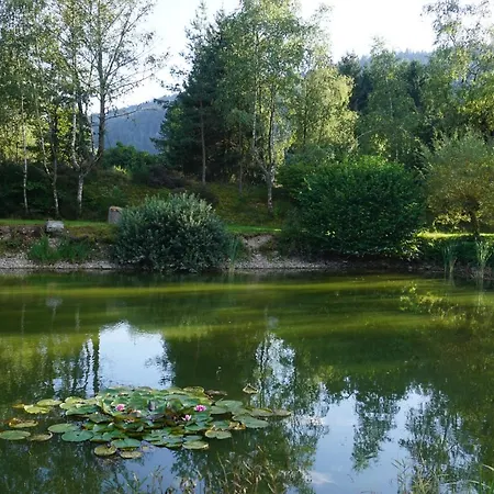 La Maison Et L'etang - Grand Terrain Prive Holiday home