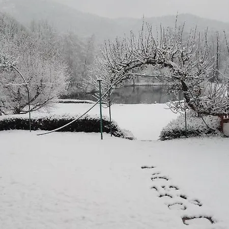 La Maison Et L'etang - Grand Terrain Prive Holiday home Vagney