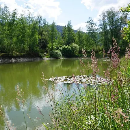 La Maison Et L'étang - Grand Terrain Privé * Vagney