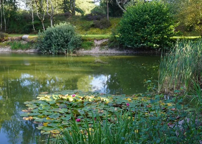 Hébergement de vacances La Maison Et L'étang - Grand Terrain Privé