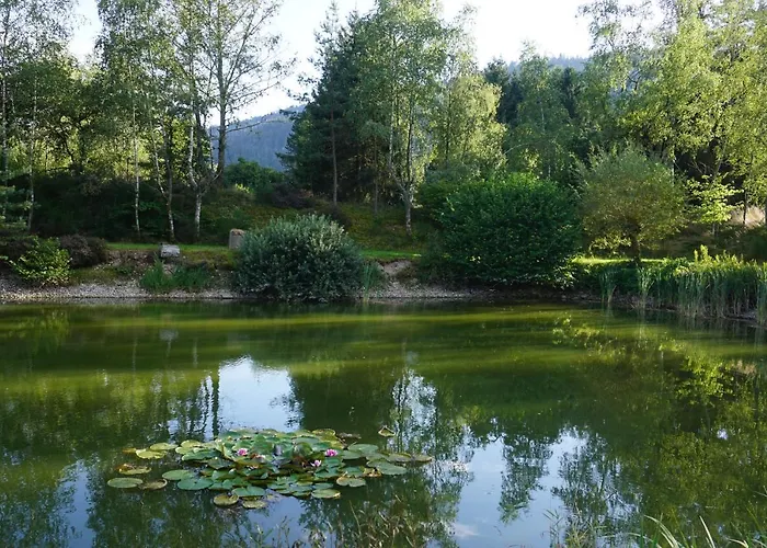 La Maison Et L'étang - Grand Terrain Privé Hébergement de vacances