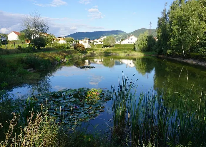 La Maison Et L'étang - Grand Terrain Privé Vagney