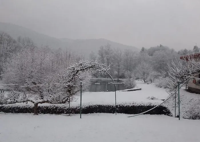 Hébergement de vacances La Maison Et L'étang - Grand Terrain Privé