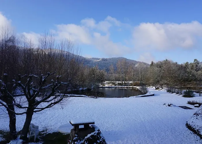 La Maison Et L'étang - Grand Terrain Privé Hébergement de vacances